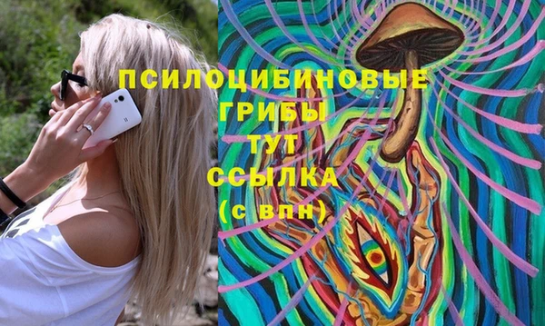 PSILOCYBIN Богданович