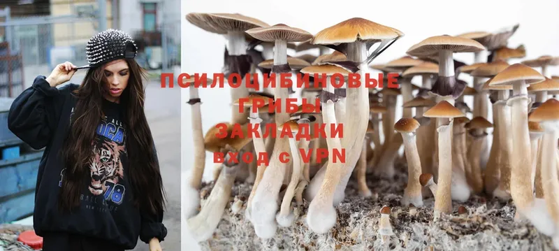 купить  цена  Болхов  Псилоцибиновые грибы MAGIC MUSHROOMS 